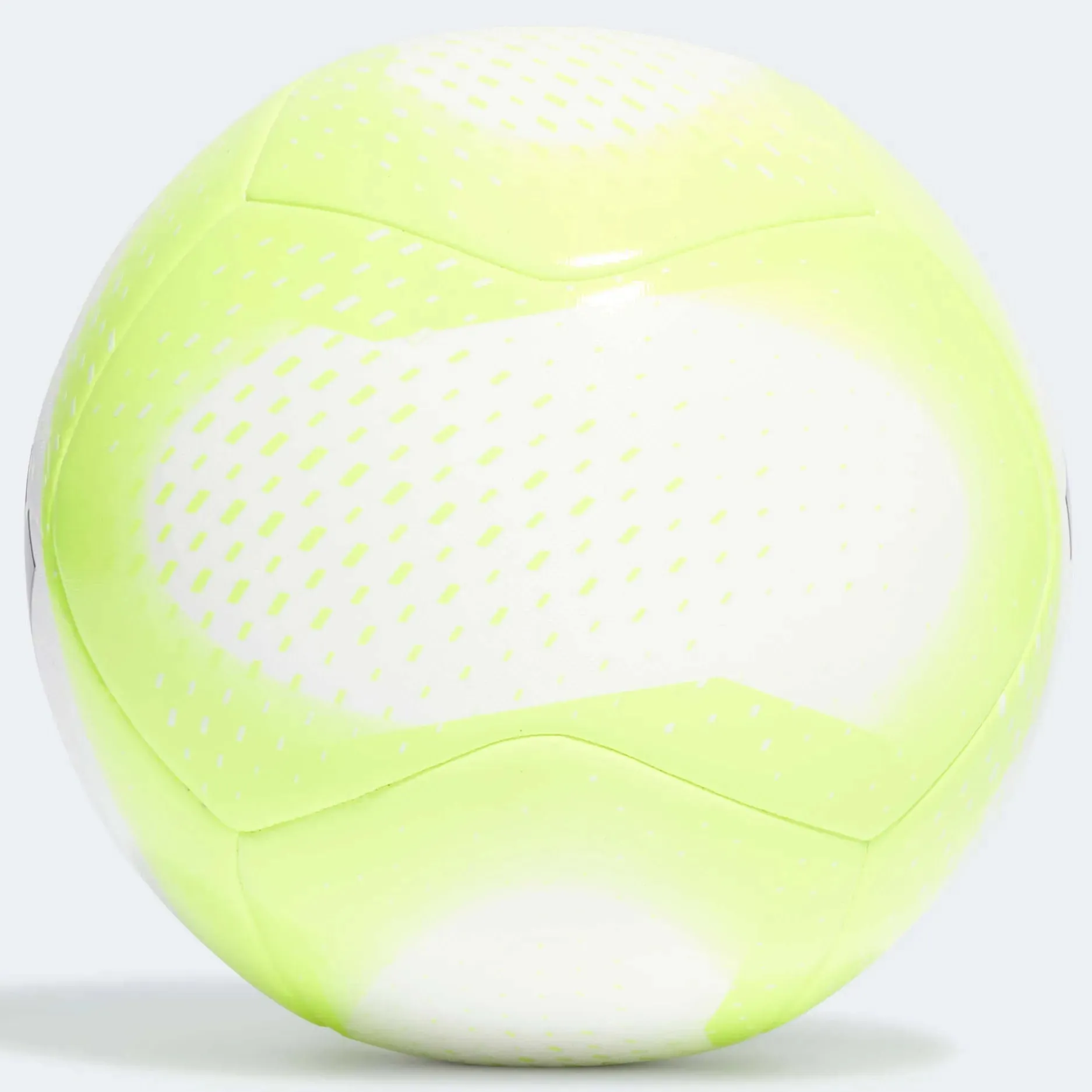 adidas Predator Training Ball