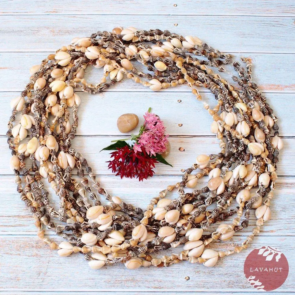 Kaneohe Nasa Seashells Hawaiian Lei Bundle